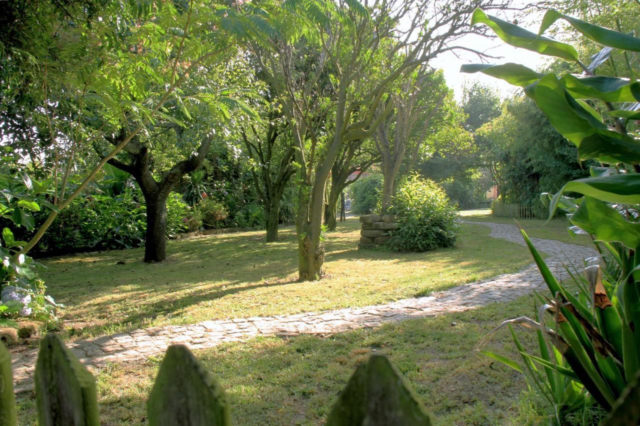 阿威罗Casa 3 Aguias住宿加早餐旅馆 外观 照片
