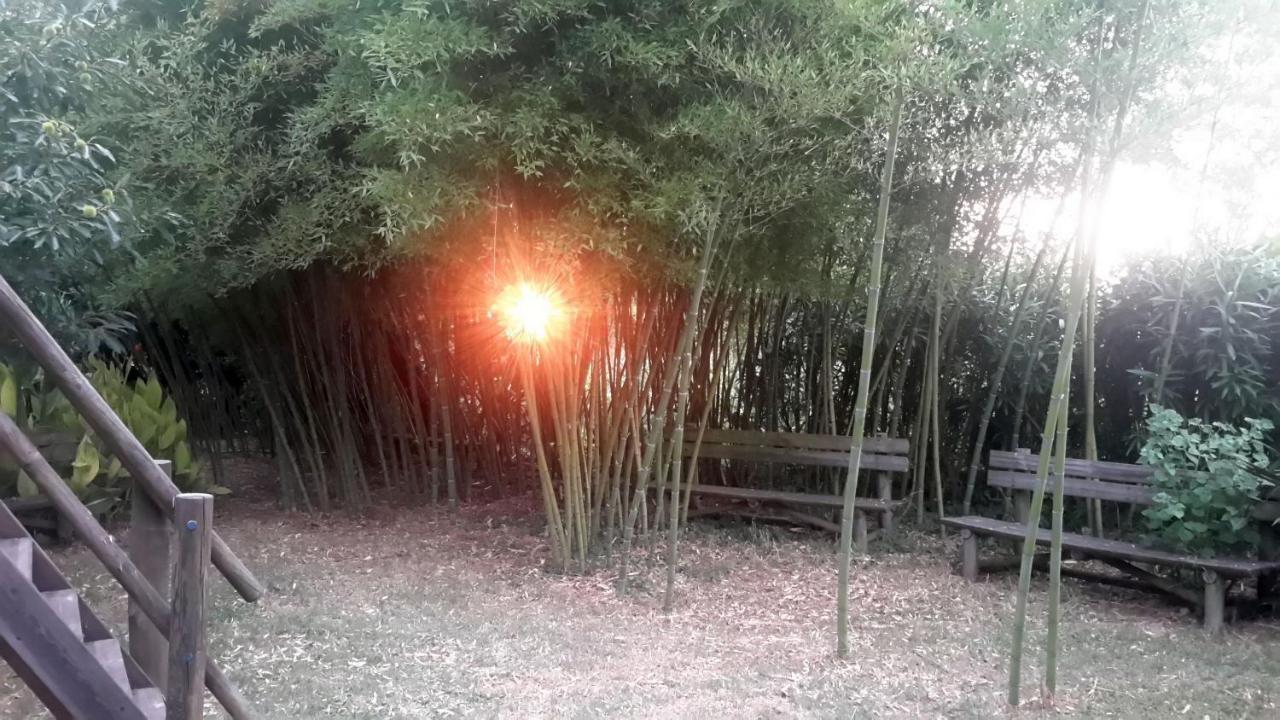 阿威罗Casa 3 Aguias住宿加早餐旅馆 外观 照片